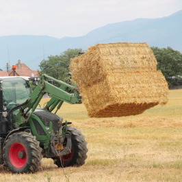 Hay Harvest Experience