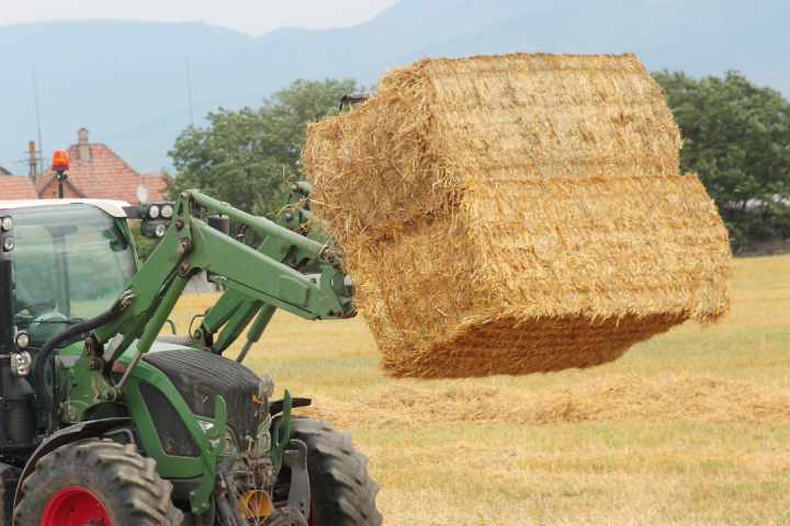 Hay Harvest Experience