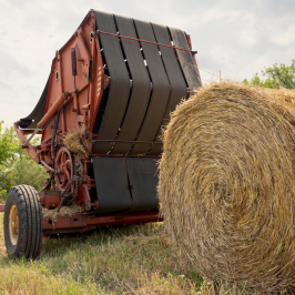 Hay Harvest Experience