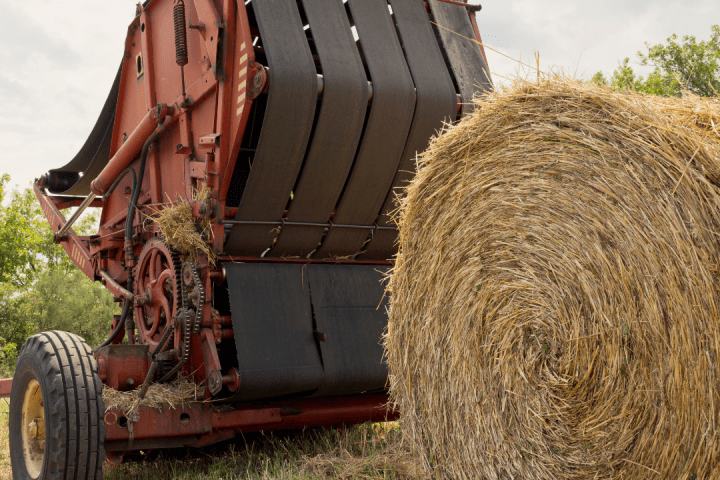 Hay Harvest Experience
