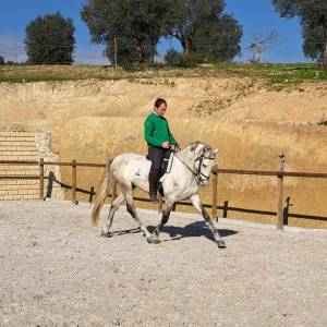Horseback Riding Tour