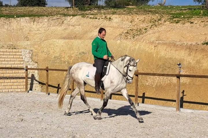 Horseback Riding Tour