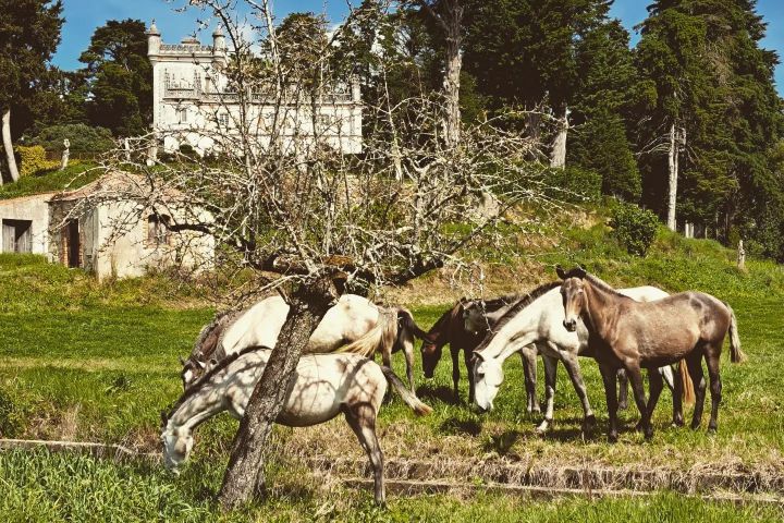 Horseback Riding Tour