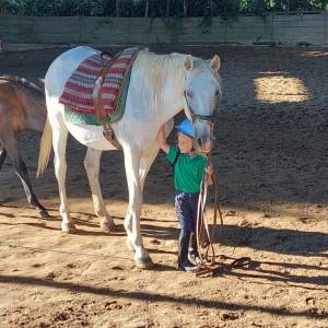 Horseback Riding Tour