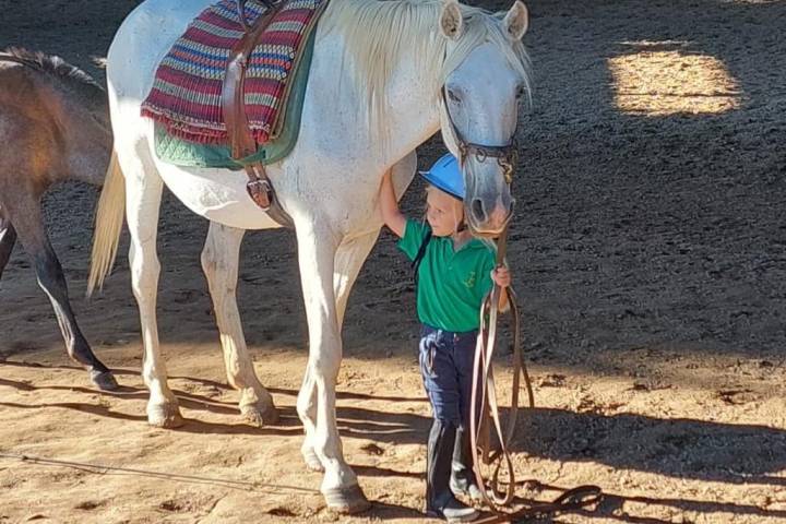 Horseback Riding Tour
