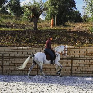 Horseback Riding Tour