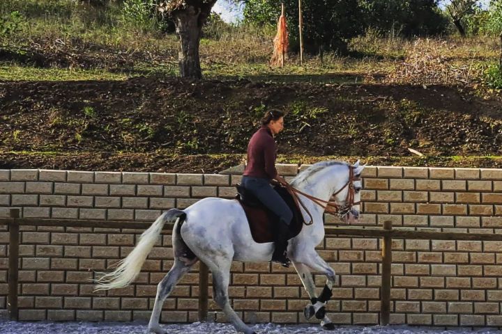 Horseback Riding Tour