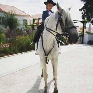 Horseback Riding Tour