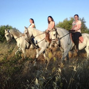 Horseback Riding in the Vineyard