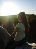 Horseback Riding in the Vineyard