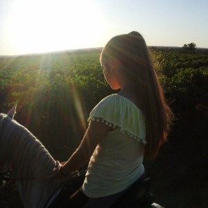 Horseback Riding in the Vineyard
