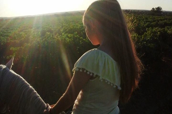 Horseback Riding in the Vineyard