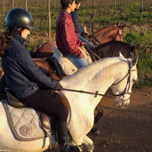 Horseback Riding in the Vineyard