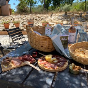 Olive Oil Farm Picnic