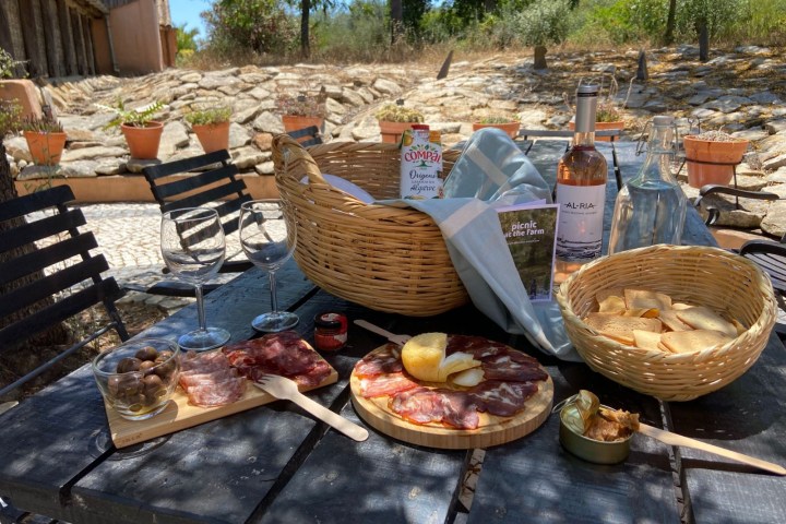 Olive Oil Farm Picnic