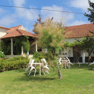 Sunny garden with tables and chairs near a house with red-tiled roof.