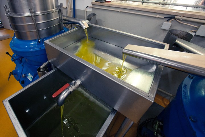 Olive oil flowing into metal containers in a processing facility.