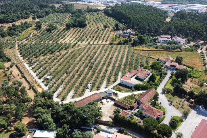 Aerial view of a large vineyard with surrounding buildings and forested area.
