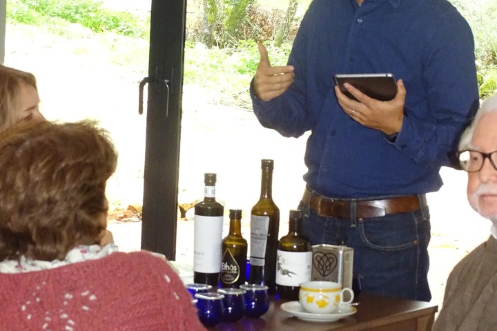 Olive Grove and Olive Oil Press Tour