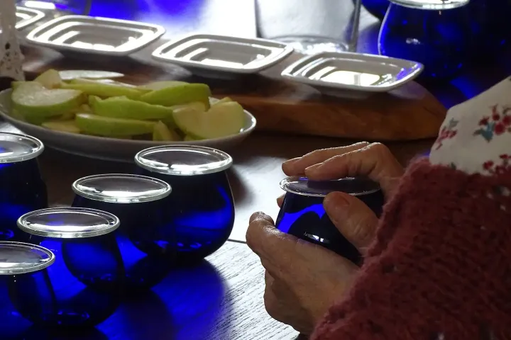 Olive Grove and Olive Oil Press Tour