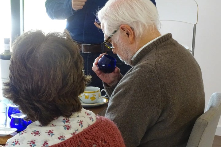 Olive Grove and Olive Oil Press Tour