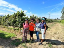 vinho verde wine tour
