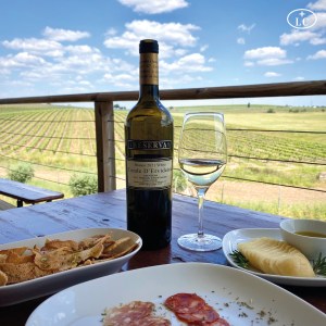 reguengos de monsaraz wine tour