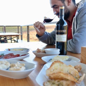 reguengos de monsaraz wine tour