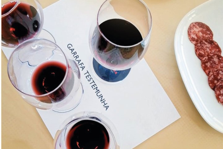 reguengos de monsaraz wine tour