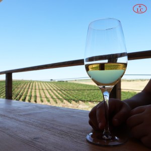 reguengos de monsaraz wine tour