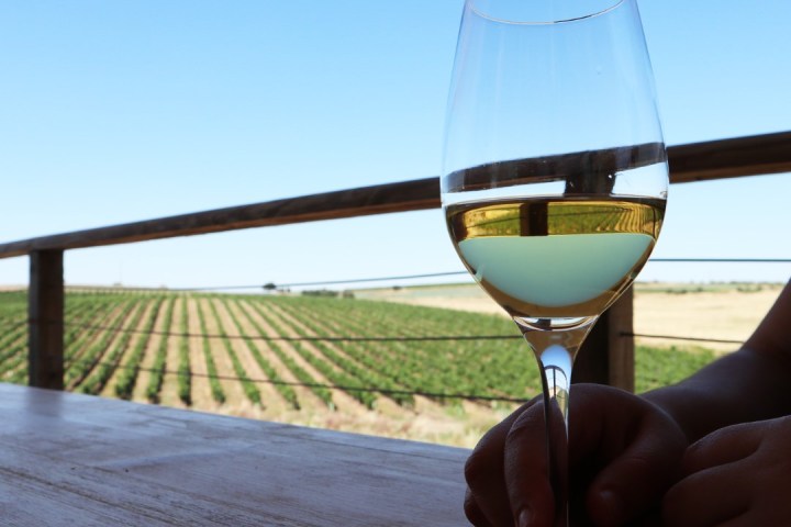 reguengos de monsaraz wine tour