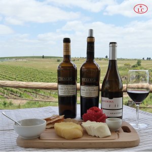 reguengos de monsaraz wine tour