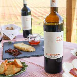 reguengos de monsaraz wine tour