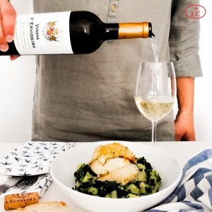 reguengos de monsaraz wine tour