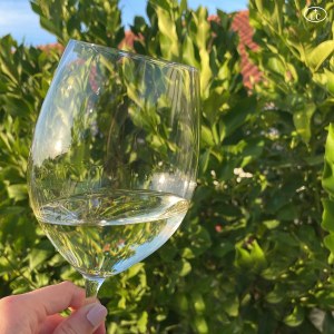 reguengos de monsaraz wine tour