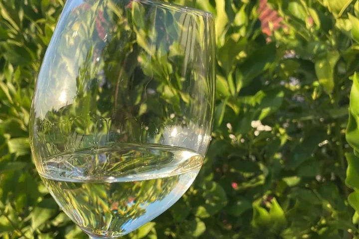 reguengos de monsaraz wine tour