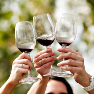 reguengos de monsaraz wine tour