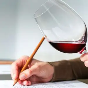 reguengos de monsaraz wine tour