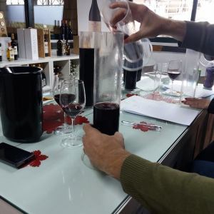 reguengos de monsaraz wine tour
