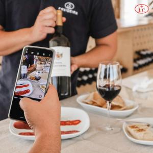 reguengos de monsaraz wine tour