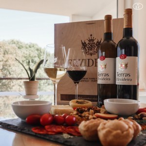 reguengos de monsaraz wine tour