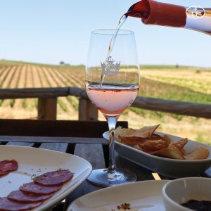 reguengos de monsaraz wine tour