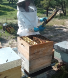 a person sitting in a box