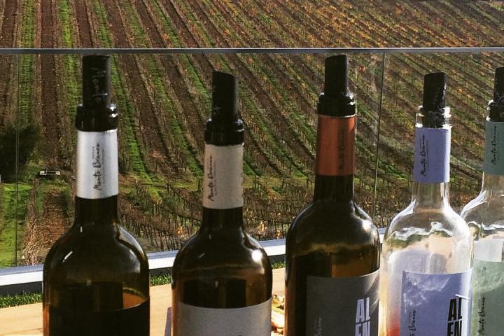 Estremoz wine tasting