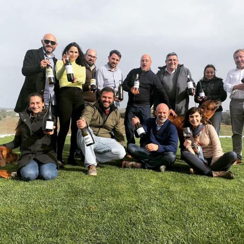 Estremoz wine tasting