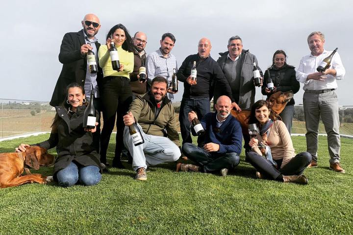 Estremoz wine tasting