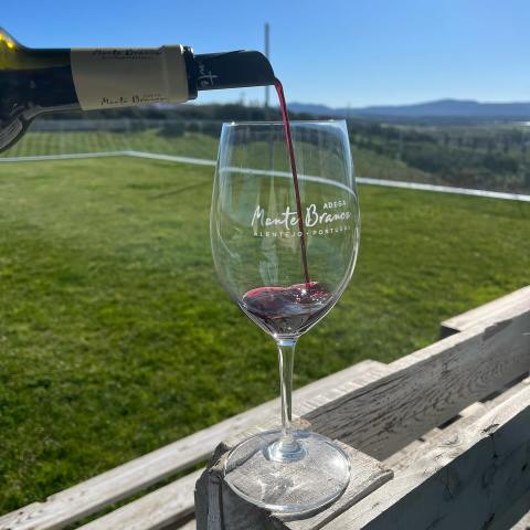 Estremoz wine tasting