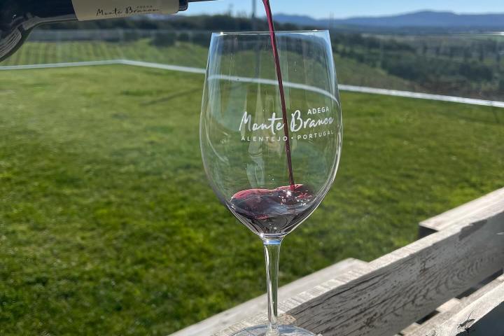 Estremoz wine tasting