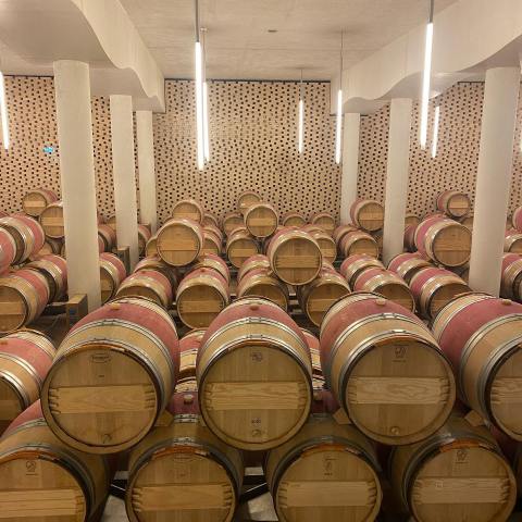 Estremoz wine tasting