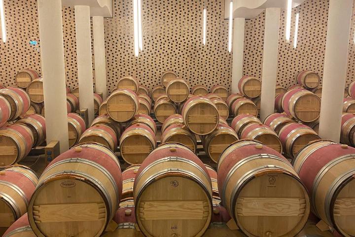 Estremoz wine tasting